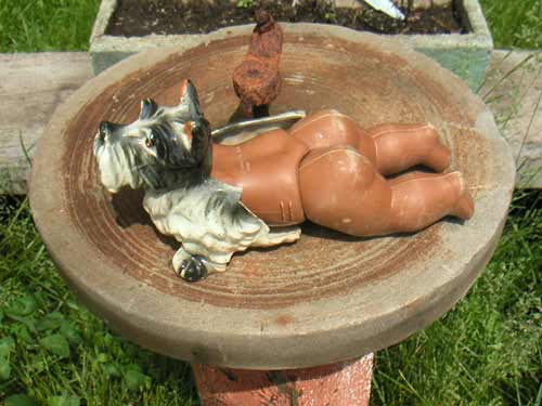 Caption Time #50