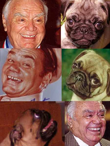 Separated at birth