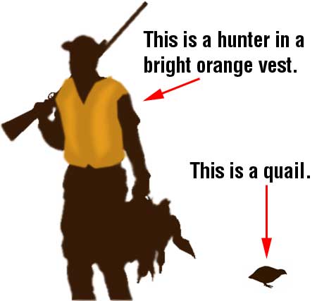 This is a hunter in a bright orange vest, and this is a quail.