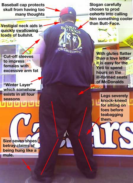 Anatomy of a Michigan Yeti