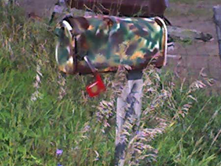 Can you spot the mailbox?