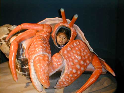 Captiontime #232