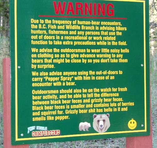 Bear Warning