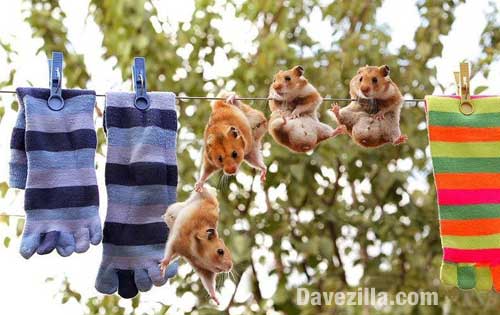 Caption Time #266