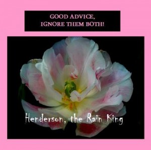 Queen Rosebud
