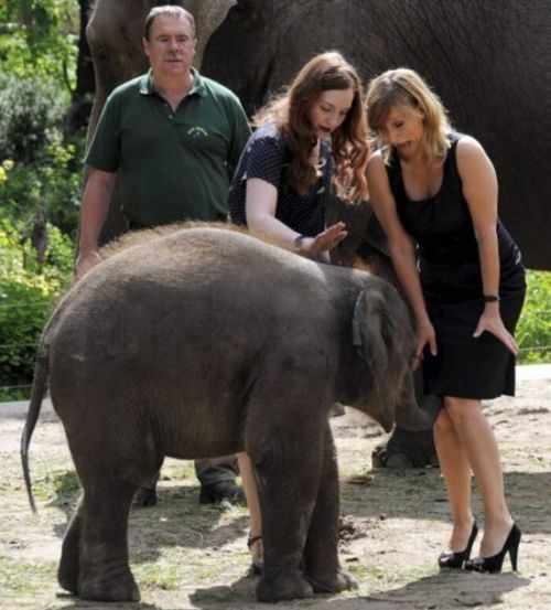 Caption Time #284