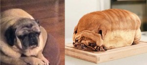 Separated at birth