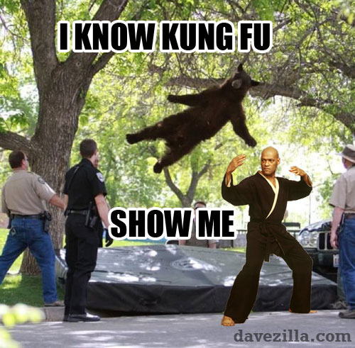 Kung Fu Bear Kung Fu Bear